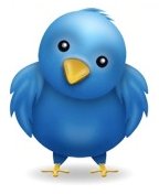 Twitter_bird